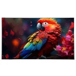 تلویزیون 55 اینچ QLED هوشمند آپلاس مدل TVQ55KA