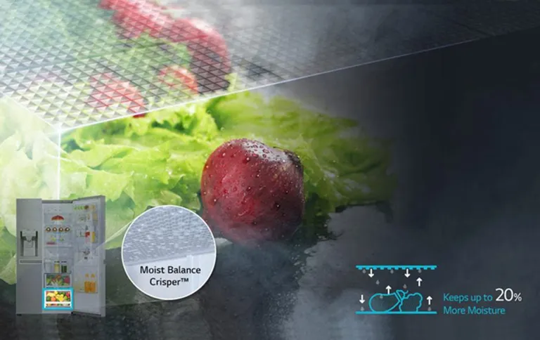 فناوری Moist Balance Crisper در یخچال 